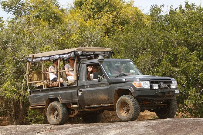 Private Yala Safari Day Trip & Exclusive Beach BBQ Dinner - A safari that turns into a date night