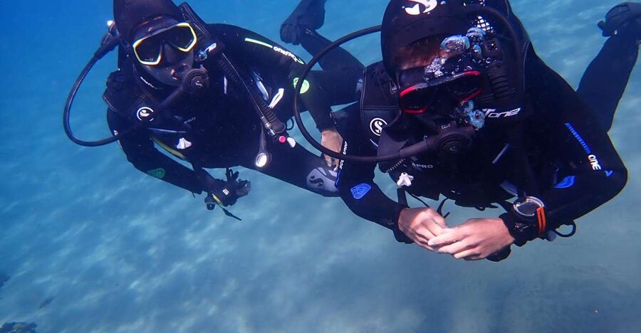 Puerto del Carmen: Try Scuba Diving from the beach - What you might see beneath Puerto del Carmen
