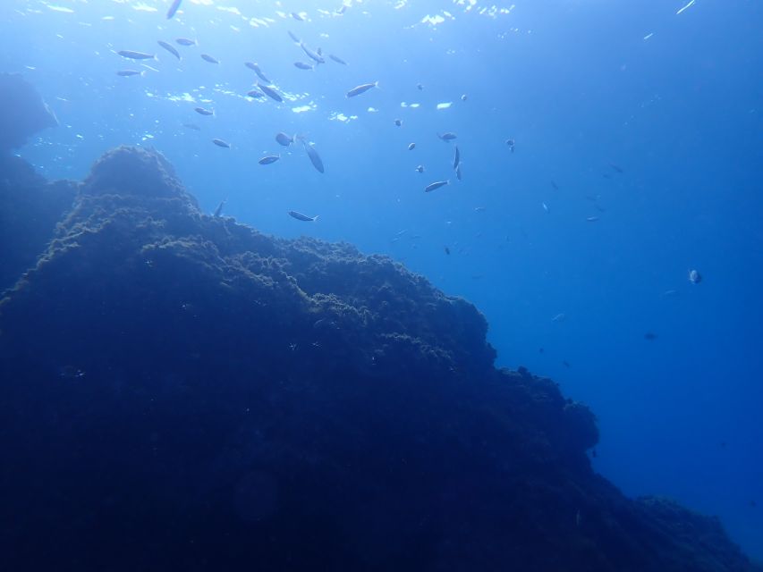 Puerto del Carmen: Try Scuba Diving from the beach - Medical rules you should take seriously