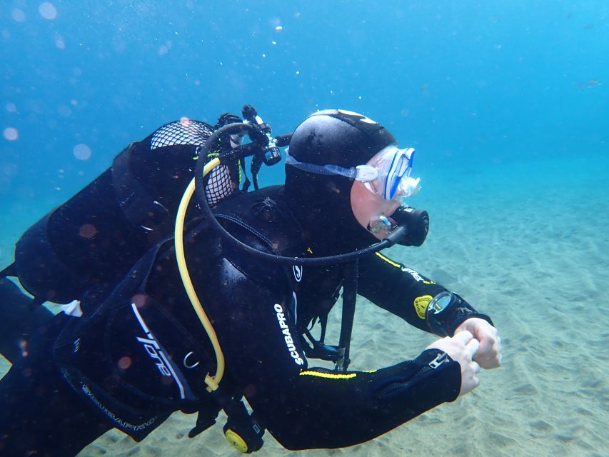 Puerto del Carmen: Try Scuba Diving from the beach - Languages, booking, and cancellation