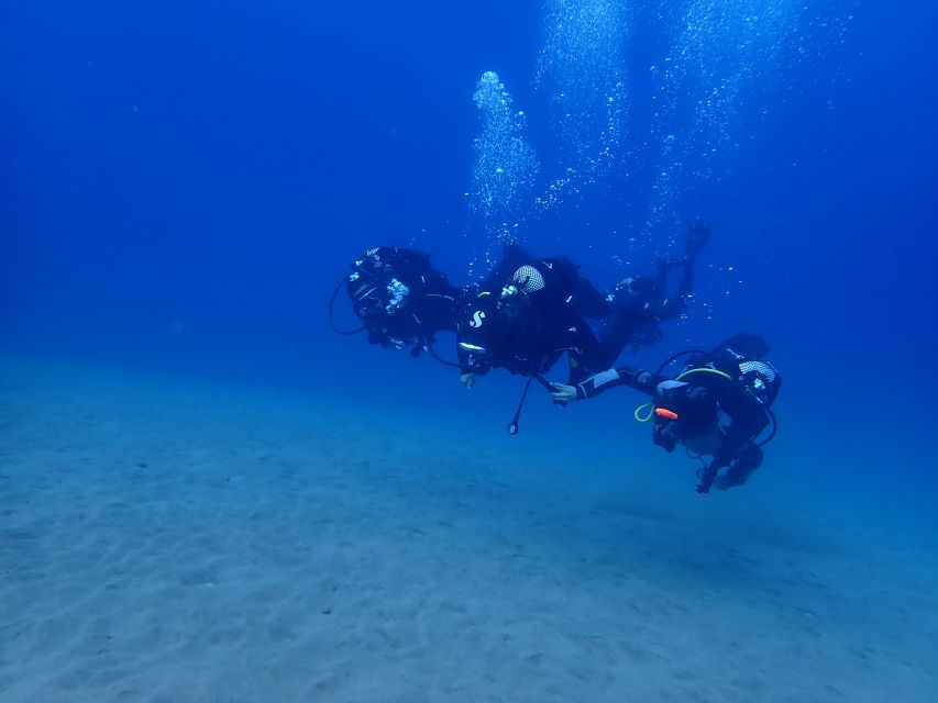 Puerto del Carmen: Try Scuba Diving from the beach - A 75-minute water session from beach to reef