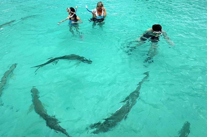 Puerto Rico's Only Private, VIP & Filmed Bio Bay Swim Experience - What the included video adds