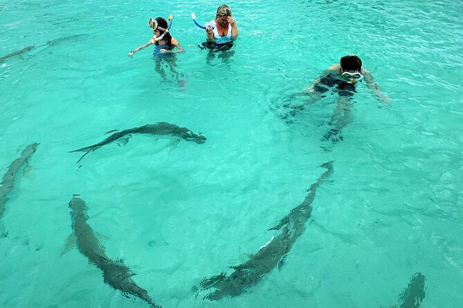 Puerto Rico's Only Private, VIP & Filmed Bio Bay Swim Experience - Who should book this experience
