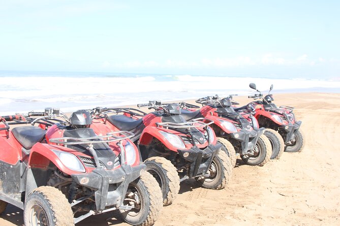 Quad Biking on the Beach and Forest Dunes with Pickup from Agadir - The tea stop and bird oasis