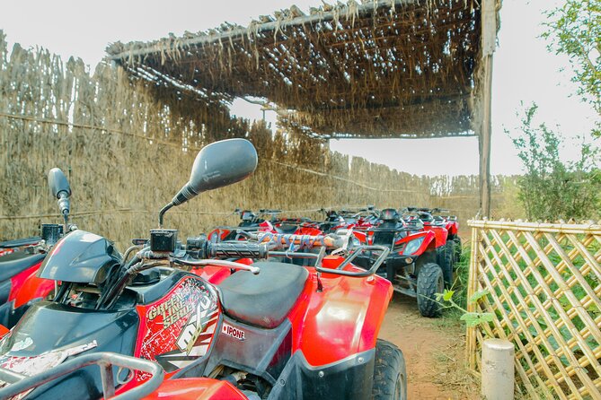 Quad Biking on the Beach and Forest Dunes with Pickup from Agadir - Who should book this quad ride?