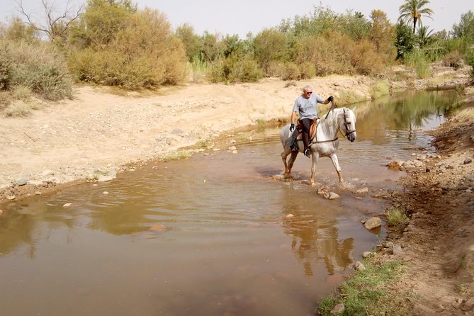 Ride the cast of famous Hollywood movies on set in their natural environment! - The riding test at the stable