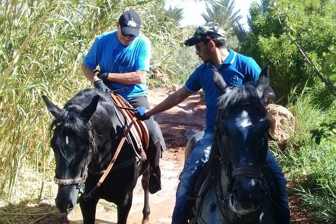 Ride the cast of famous Hollywood movies on set in their natural environment! - From movie scenery to palm trees and fields