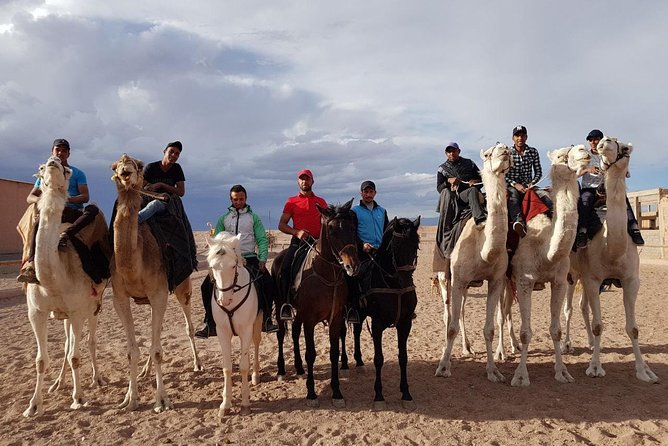 Ride the cast of famous Hollywood movies on set in their natural environment! - How the guides shape the outing