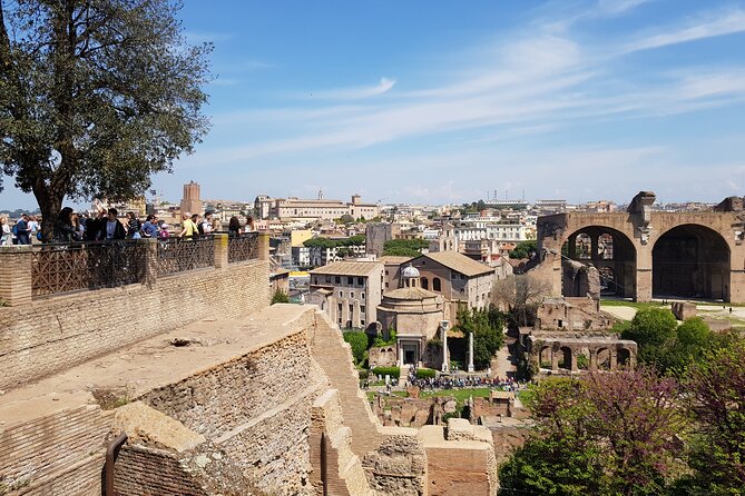 ROME: colosseum gladiator arena forum& palatine guided tour - Palatine Hill and the Imperial View