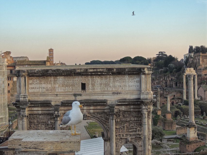 Rome: Colosseum, Gladiator Arena & Roman Forum Private Tour - Who will get the most from this tour