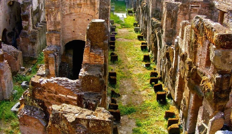 Rome: Colosseum Gladiator's Arena and Roman Forum Tour - Final verdict: a strong first visit with a brisk pace