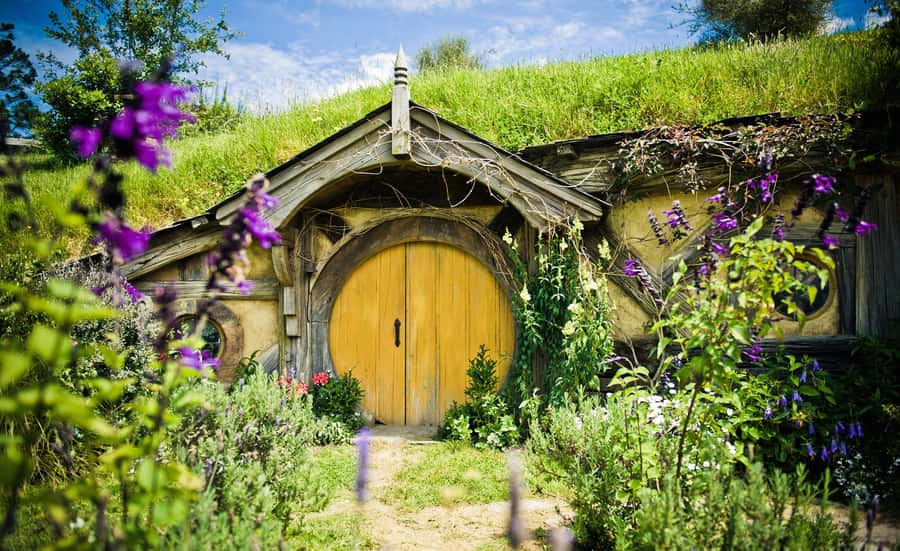 Rotorua: One-Way Trip to Auckland via Hobbiton & Waitomo - Walking through Hobbiton’s 44 movie homes