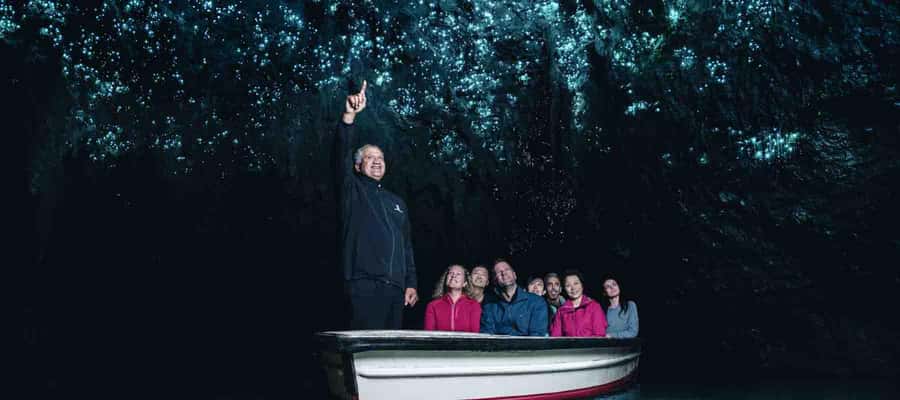 Rotorua: One-Way Trip to Auckland via Hobbiton & Waitomo - The morning pickup and the road north