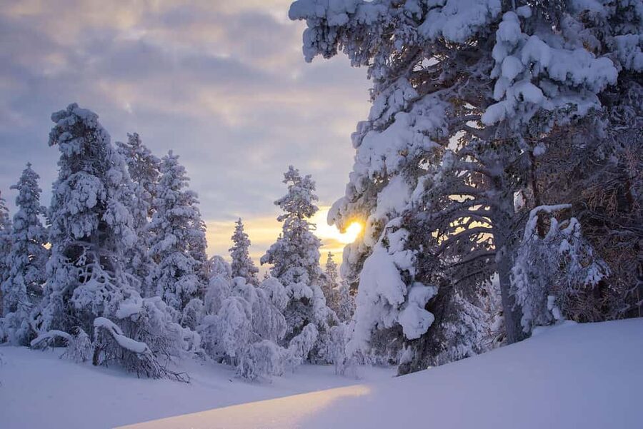 Rovaniemi: Snowy Forest Like in the Movies 3 Hour Tour - Leaving Rovaniemi for a quieter kind of Lapland