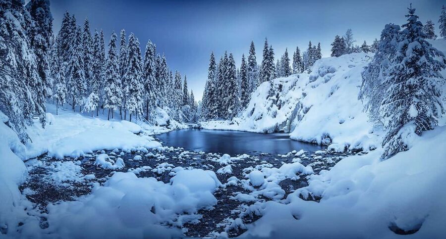 Rovaniemi: Snowy Forest Like in the Movies 3 Hour Tour - Why the two-person limit matters