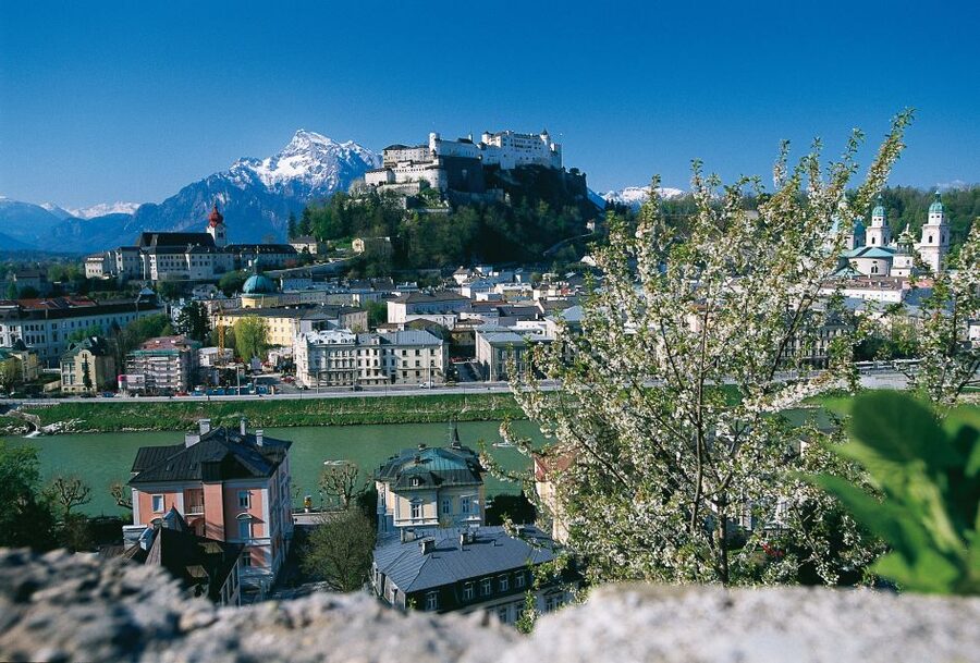 Salzburg: Sound of Music Private Half-Day Tour - Mirabell Palace and the Do-Re-Mi steps