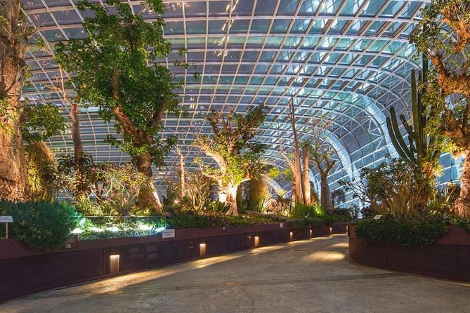 SandsSkyPark+GardensbytheBay(FlowerDome&Jurassic World)Transfers - Crossing to Gardens by the Bay
