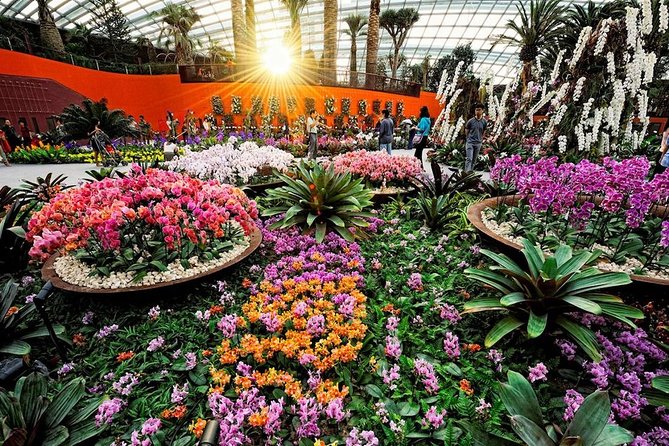 SandsSkyPark+GardensbytheBay(FlowerDome&Jurassic World)Transfers - Who will enjoy this most?