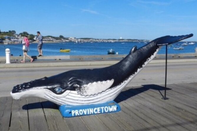Self-Guided Scavenger Hunt: The Crown Jewel of Cape Cod - Key points to know before you go