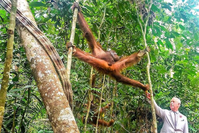 Semenggoh Wildlife Centre: Orangutan Discovery from Kuching - The morning ride from Kuching