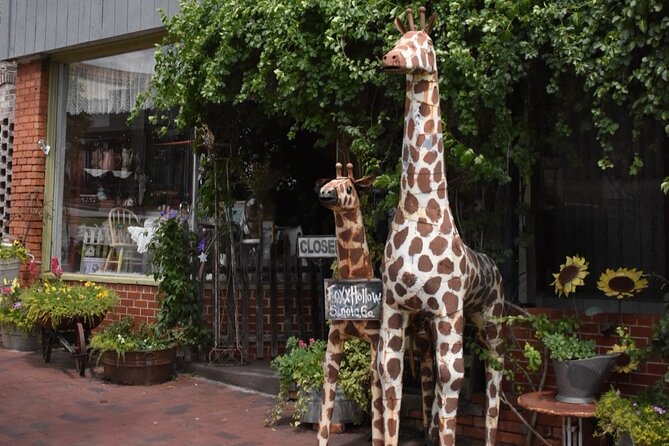 Senoia The Walking Dead Film locations 2 hours Walking Tour - Starting at 48 Main St. in Senoia