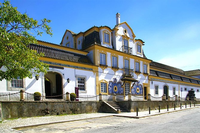 Setúbal Private Full Day Wine Tour with Tasting and Lunch at the Beach - Key points to know before booking