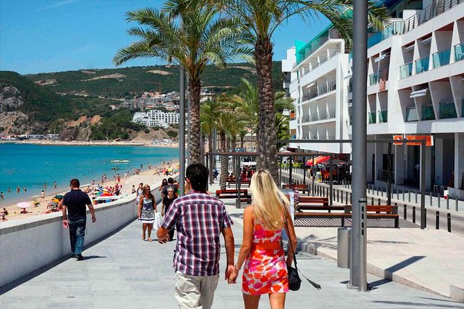 Setúbal Private Full Day Wine Tour with Tasting and Lunch at the Beach - Bacalhôa, where wine shares the stage with art