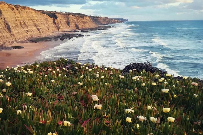 Setúbal Private Full Day Wine Tour with Tasting and Lunch at the Beach - Cabo Espichel and Portugal’s Atlantic edge