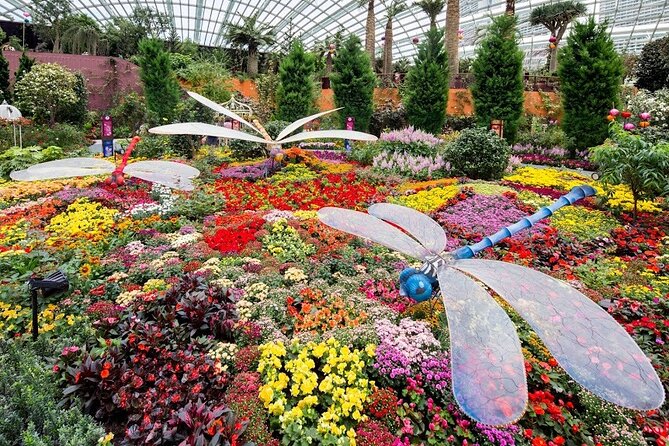 Singapore Gardens by the Bay & Jurassic World with Hotel Pick up - Garden Rhapsody at the Supertree Grove