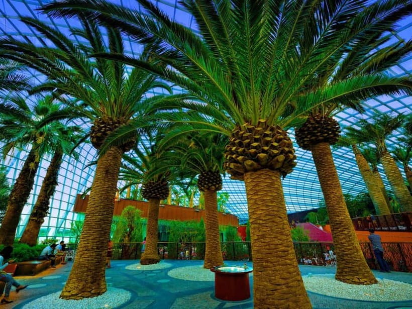 Singapore: Gardens by the Bay & Jurassic World with Pickup - Pickup from your hotel, then straight to the gardens