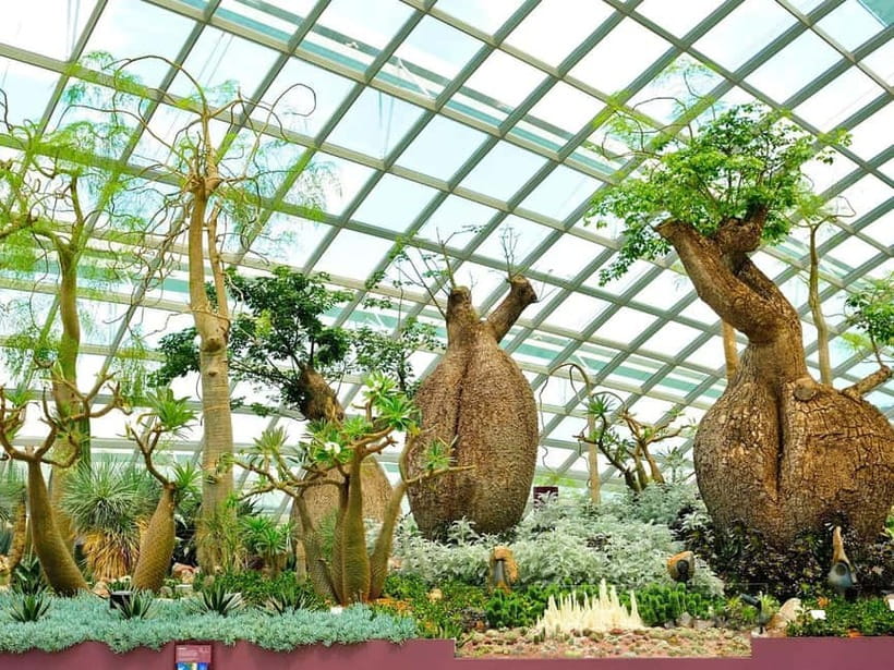 Singapore: Gardens by the Bay & Jurassic World with Pickup - Jurassic World brings dinosaurs into the gardens