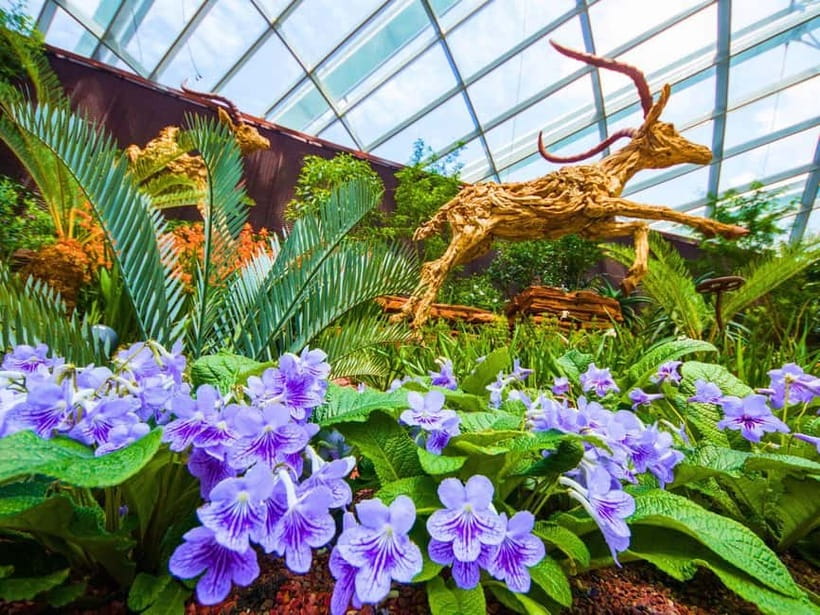 Singapore: Gardens by the Bay & Jurassic World with Pickup - Practical advice before you go