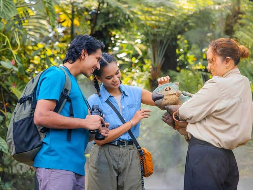 Singapore: Gardens by the Bay & Jurassic World with Pickup - Cloud Forest and the 35-meter indoor waterfall