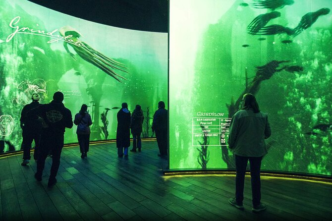 Singapore Harry Potter: Visions of Magic Tickets - What makes it valuable for serious Potter fans