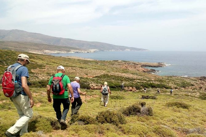 Small-Group Guided Hiking Tour in Andros with picnic on the beach - Why this Andros hike feels different