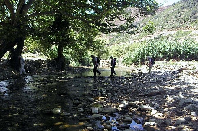 Small-Group Guided Hiking Tour in Andros with picnic on the beach - What Arianna adds to the walk