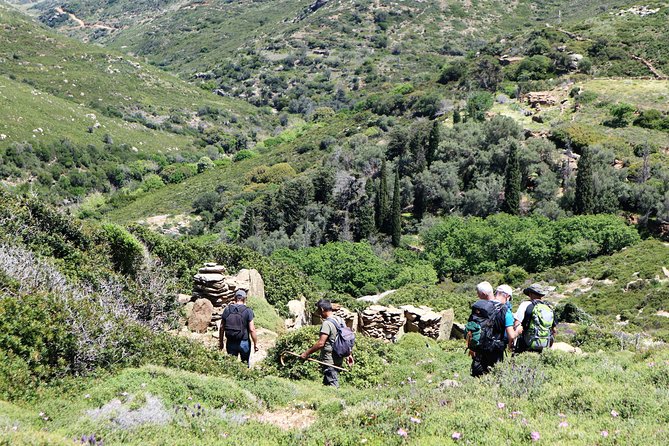 Small-Group Guided Hiking Tour in Andros with picnic on the beach - Following the green ravines toward Remata
