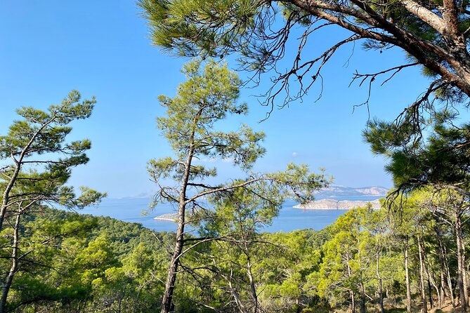 Small group hiking between the beach and Kritinia Castle - Why this hike is worth a day away from the beach