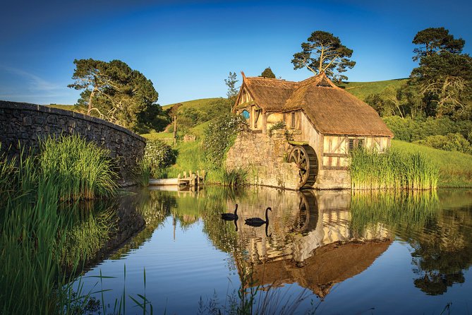 Small-Group Hobbiton Tour from Auckland with Party Marquee Lunch - The Party Marquee buffet lunch