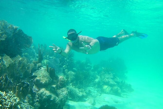Snorkel in the Costa Maya Reef and Rest on the Beach - Value, costs, and what is not included