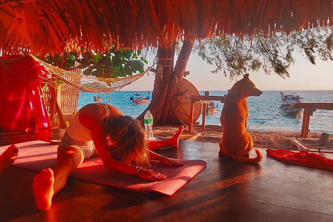 Sunrise yoga class overlooking the beach, the sea & sunrise . - Key points to know before booking