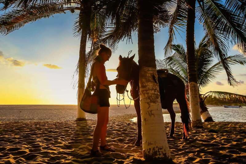 Sunset by Horse on the Beach - Across fields, cattle land, and the river