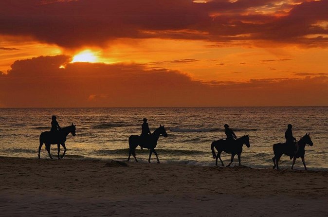 Sunset Horseback Ride by the Beach in Aguadilla, Puerto Rico - Who will get the most from this ride?