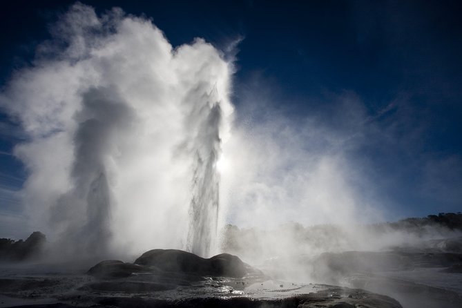 Tauranga-Hobbiton-Rotorua : Movie Set & Geysers: Private Tour - Is $876 good value for four people?