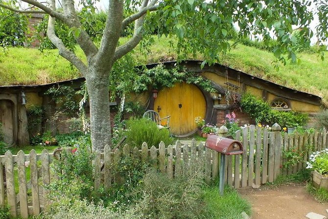 Tauranga-Hobbiton-Rotorua : Movie Set & Geysers: Private Tour - Comfort, walking, and what to bring