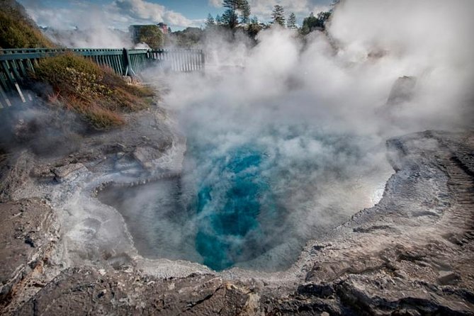 Tauranga-Hobbiton-Rotorua : Movie Set & Geysers: Private Tour - Who should book this private tour?