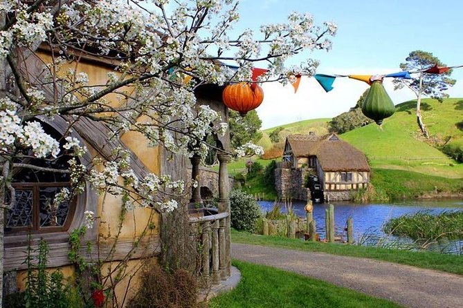 Tauranga to Magical Hobbiton Movie Set - Private Shore Excursion - The small drawbacks to weigh