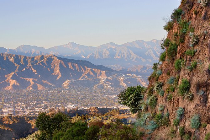 The Premier Hollywood Sign Tour: Nature in the Heart of the City - Why this Hollywood Sign hike feels different