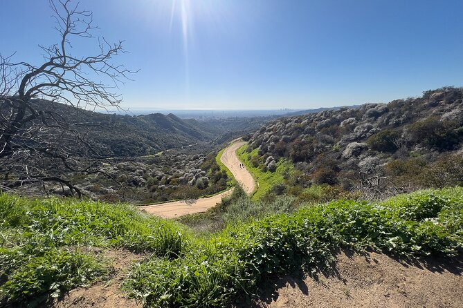 The Premier Hollywood Sign Tour: Nature in the Heart of the City - Climbing above the sign to Mt. Lee