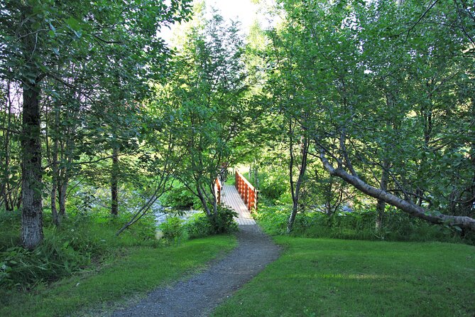 The Story of Fire Saga Eurovision: Netflix Húsavík Walking Tour - Who will enjoy this walk most?